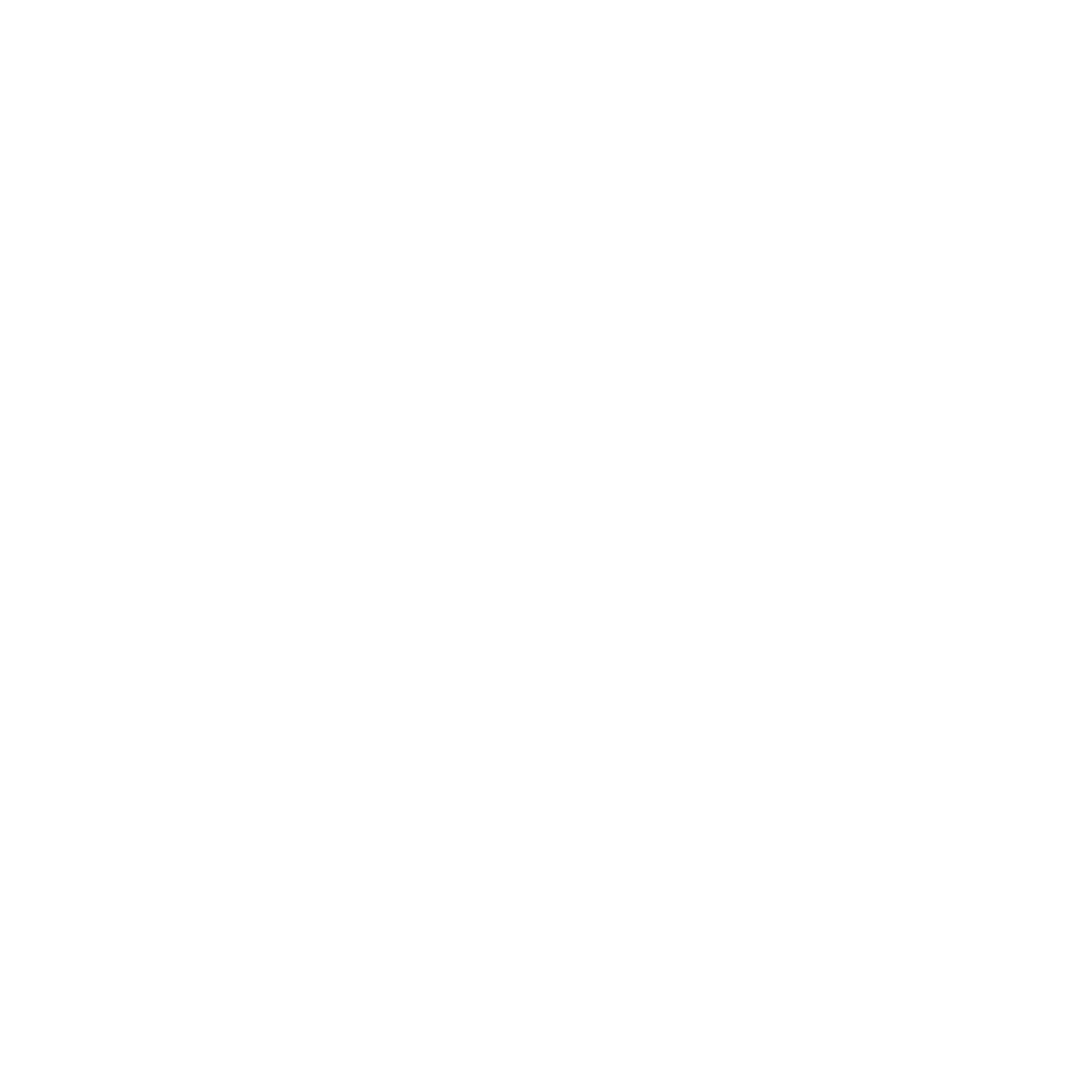 Team Drago